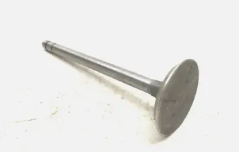 Intake Valve IHS5325